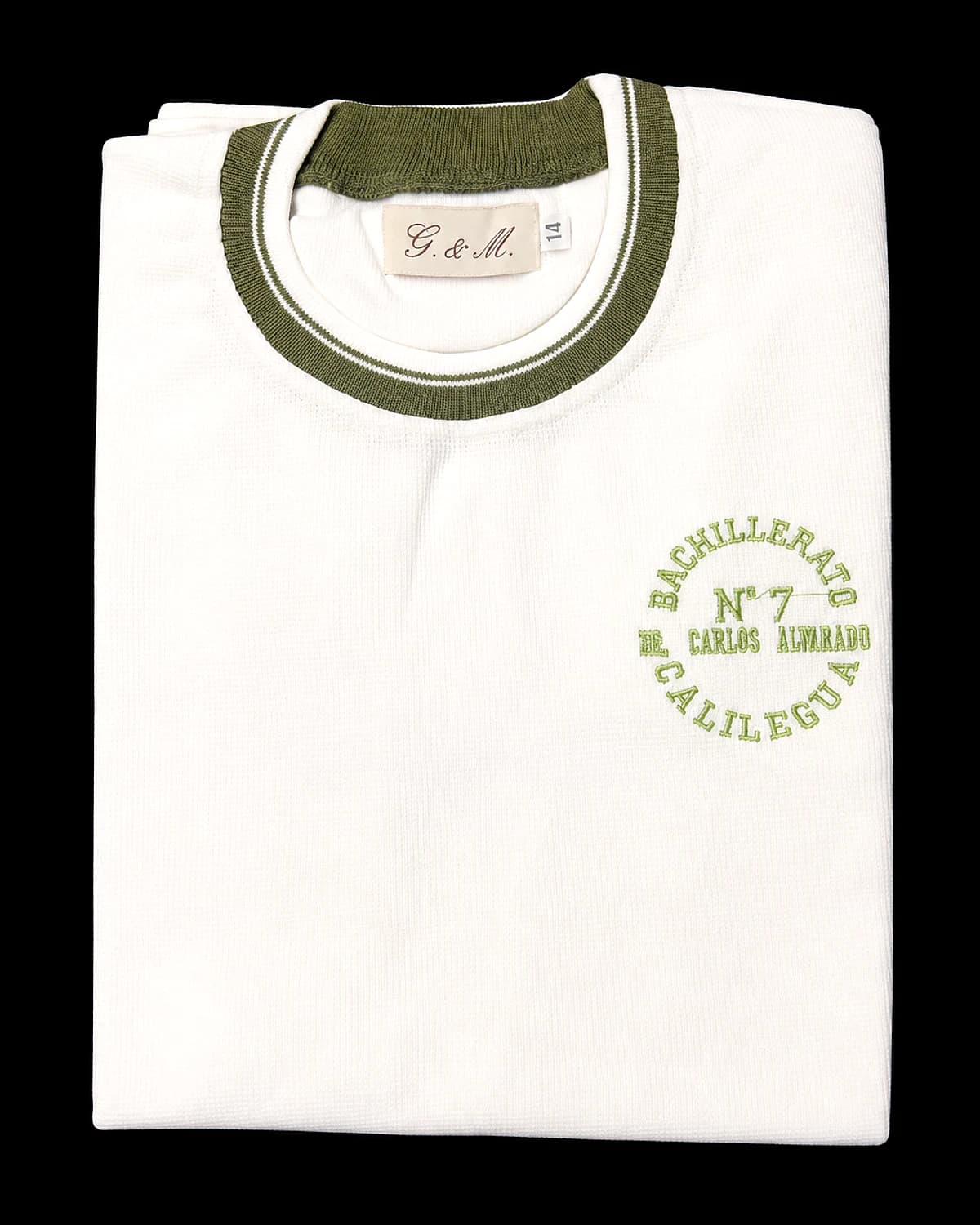 Remera Bachillerato N° 7 Calilegua