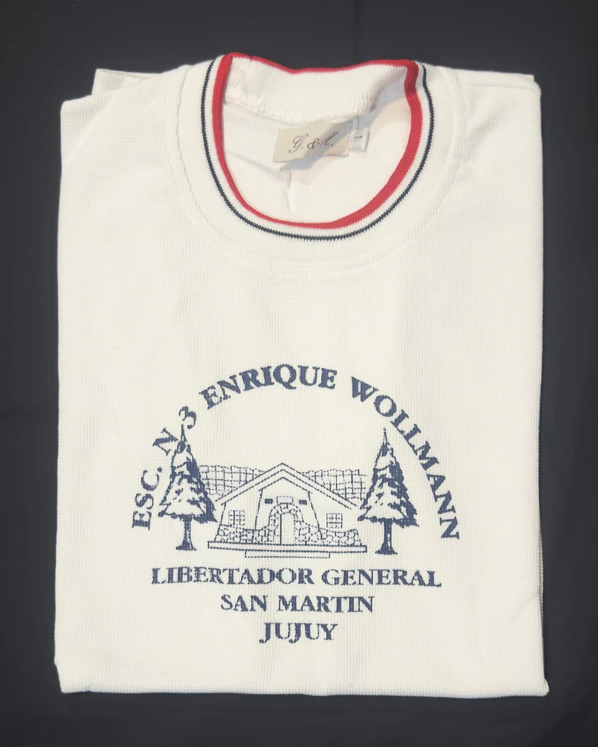 Remera Escuela Enrique Wollmann de Escuela N° 3 Enrique Wollmann