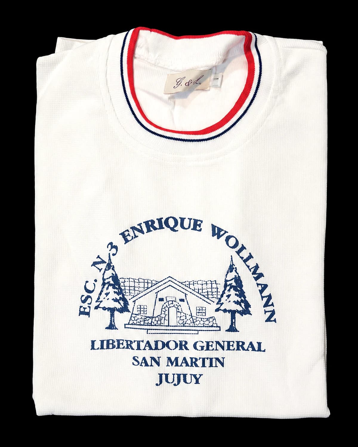 Remera Escuela Enrique Wollmann